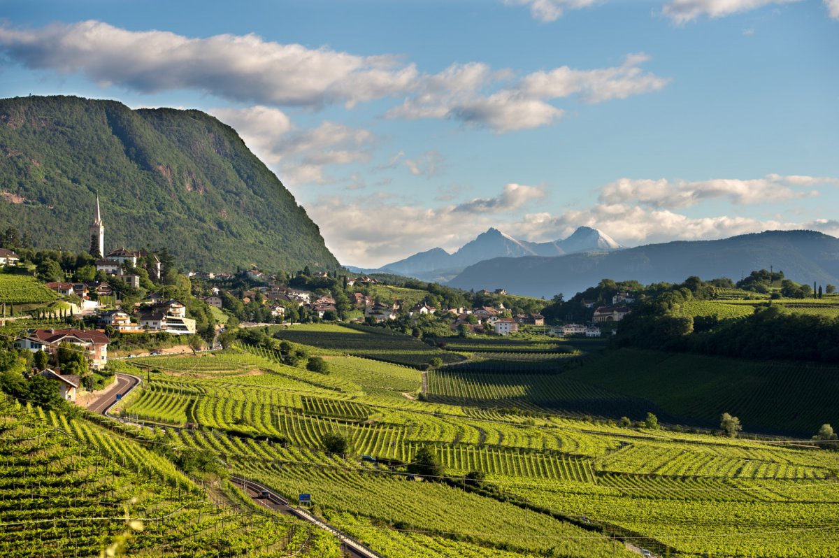 Vacanze nel cuore dei vigneti di Caldaro