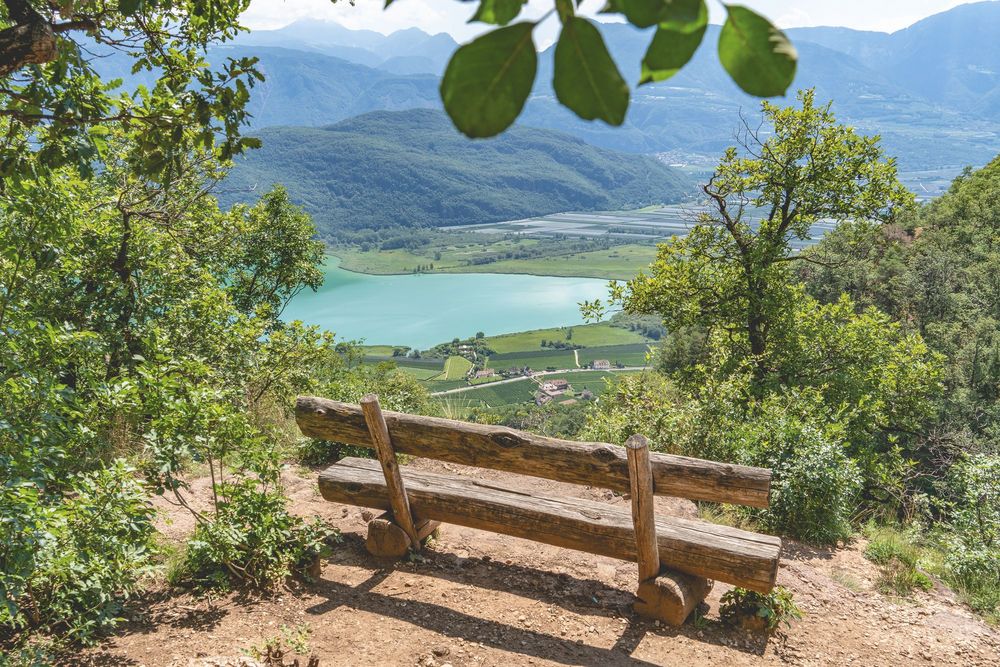 Holzbank mit Blick auf See und Berge, umgeben von grünen Bäumen