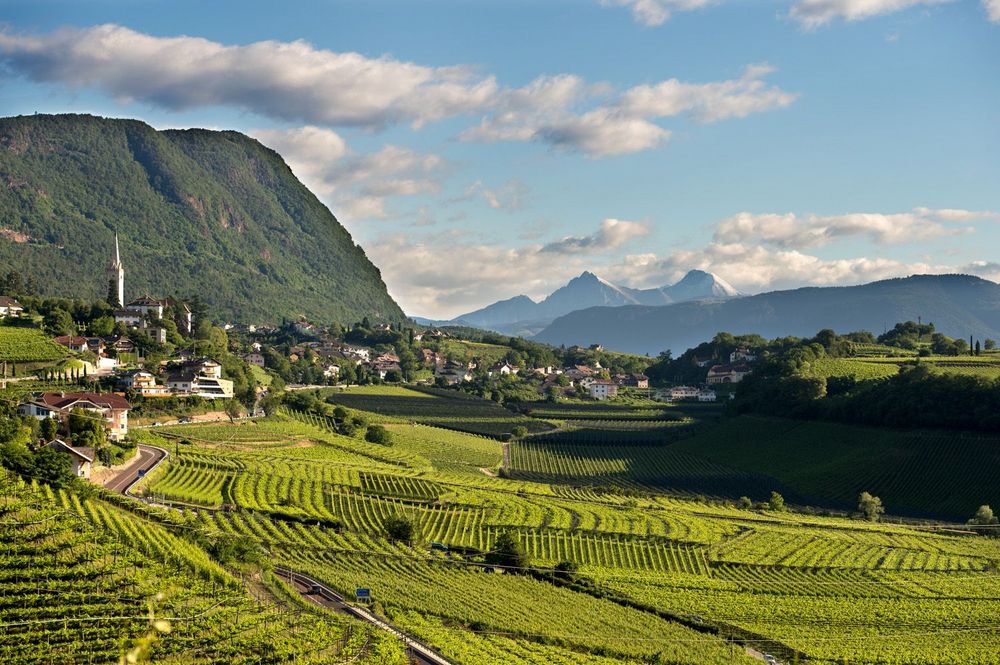 Landschaft mit Weinbergen, Dorf und Bergen unter blauem Himmel.