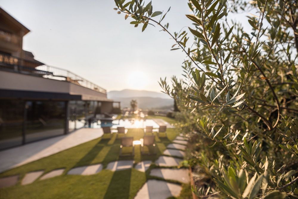 Sonnenuntergang im Garten mit Olivenzweigen im Vordergrund und Pool mit Liegestühlen im Hintergrund