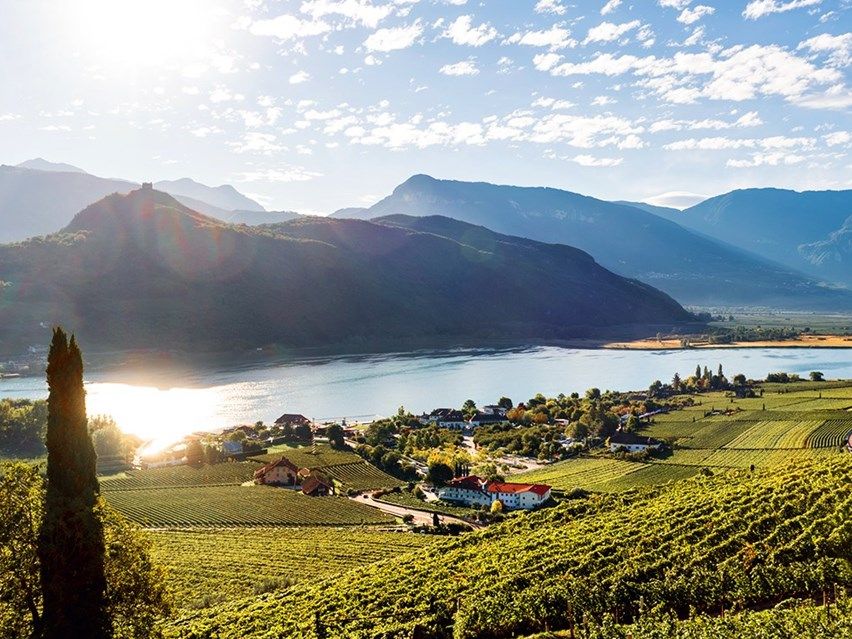 Sonnenbeschienene Landschaft mit Weinbergen, See und Bergen im Hintergrund