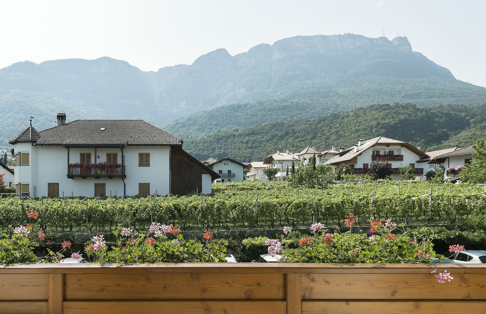 Balkon mit Blumen, Weinberg und Häuser vor bewaldeten Bergen