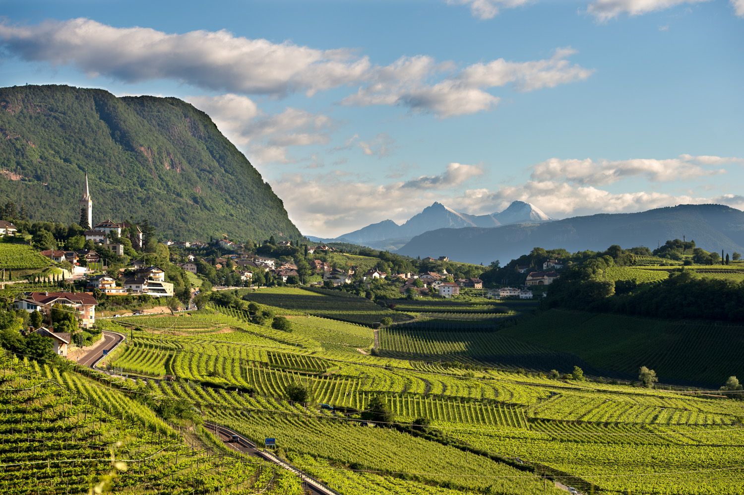 Grüne Weinberge vor Bergen mit Dorf und Kirche im Sonnenschein
