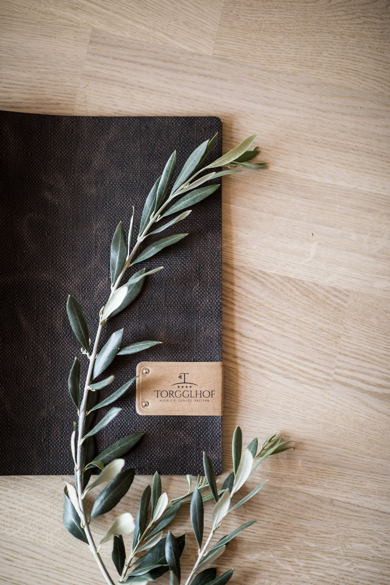 Olivenzweig auf braunem Stoff mit Torgglhof-Logo auf hellem Holztisch