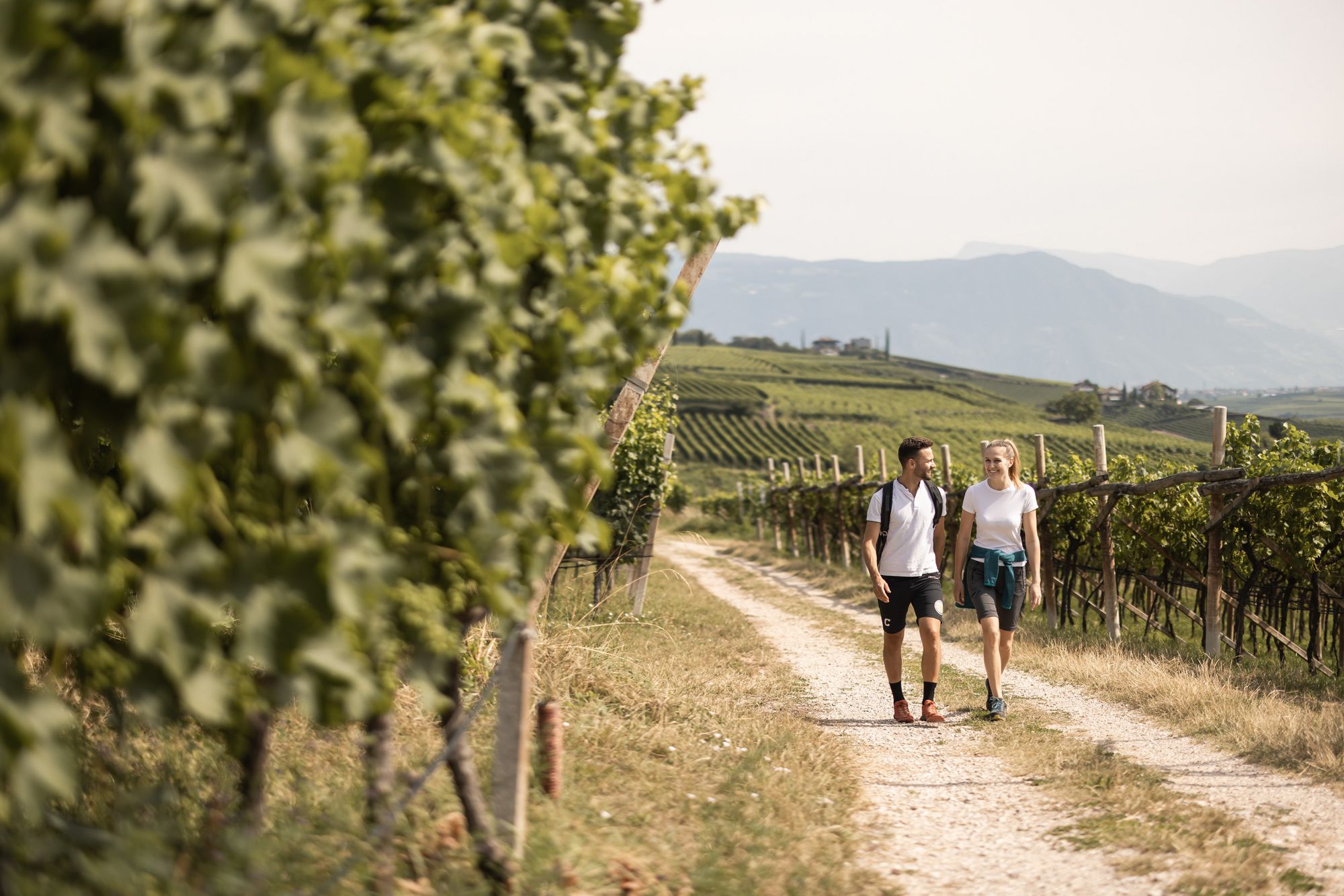 Paar wandert auf einem Weg durch einen Weinberg